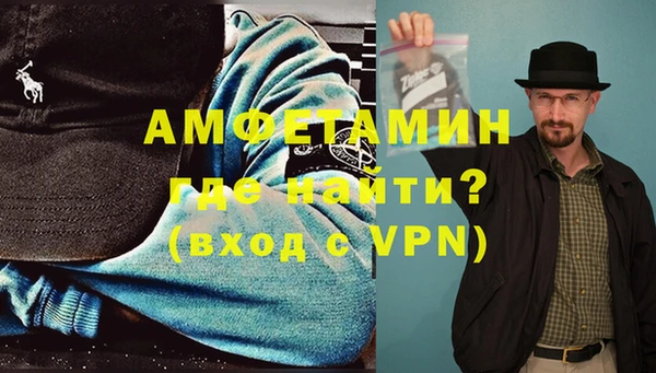 шишки Кодинск
