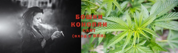 шишки Кодинск