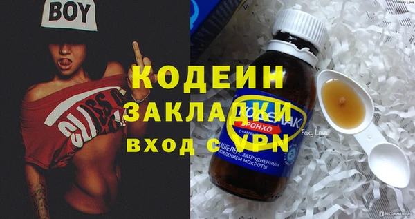 шишки Кодинск