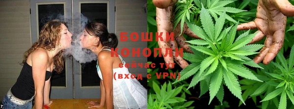 шишки Кодинск