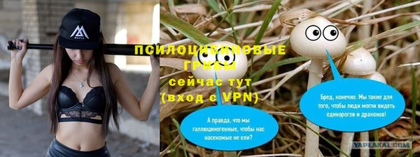 шишки Кодинск