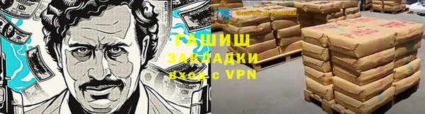 шишки Кодинск